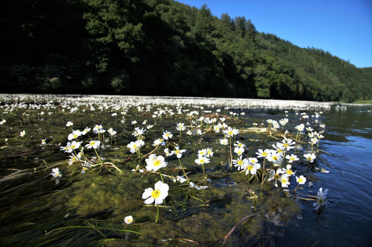 Willa Au Charme Du 13 Faubourg De France A Bouillon Zewnętrze zdjęcie